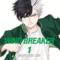 wind breaker